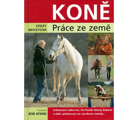 Koně