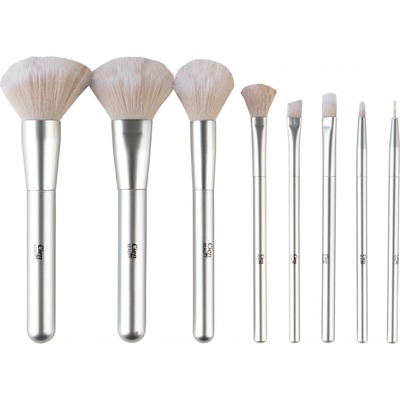 CIEN Beauty Sada kosmetických štětců, 9dílná (stříbrná) – Zboží Dáma