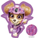 Carbotex Tvarovaný 3D vankúš Tlapková patrola Paw Patrol motív Skye v akcii 41x34