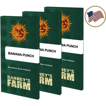 Sour Diesel Barney's Farm semena neobsahují THC 5 ks