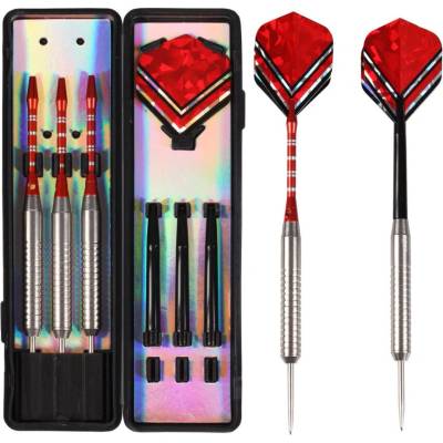 Steel Dart Set 20 g