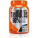 Anabolizéry a NO doplnky Extrifit Tribulus 90 % 100 kapsúl