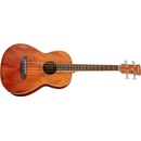 Ibanez PNB14E