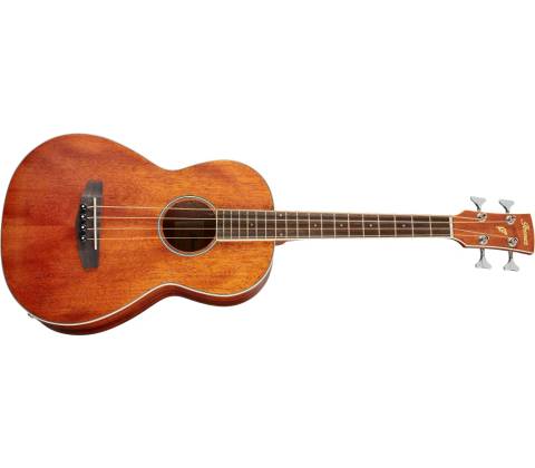 Ibanez PNB14E