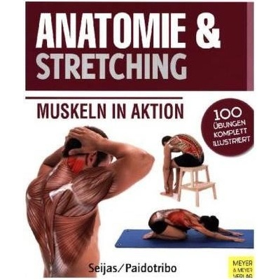Anatomie & Stretching
