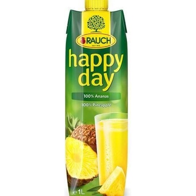 Rauch Happy Day Ovocná šťava 100% ananas 1 l
