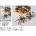 Nenurodyta V Garland of light bulbs CLUSTER AX8550130, 5.6 m, warm white