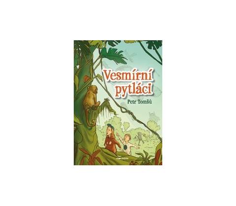 Vesmírní pytláci