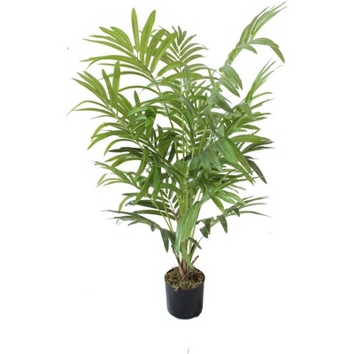 Umělá Palma parlour, 90cm