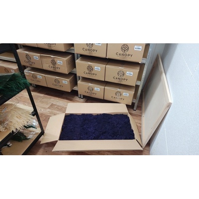 Stabilizovaný mach – sobí - lišajník – Reindeer moss - fialový - celé balenie 5kg