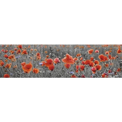 mySPOTTI Samolepící PVC tapeta do kuchyně splash Vlčí máky, rozměry 60x220 cm