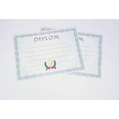 Diplom A4 Vavřín BD142