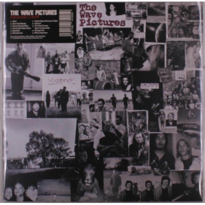 The Wave Pictures - GAINED/LOST Vinyl