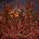 Cannibal Corpse - Chaos Horrific (Marbled Coloured) (LP) (0039841604375)
