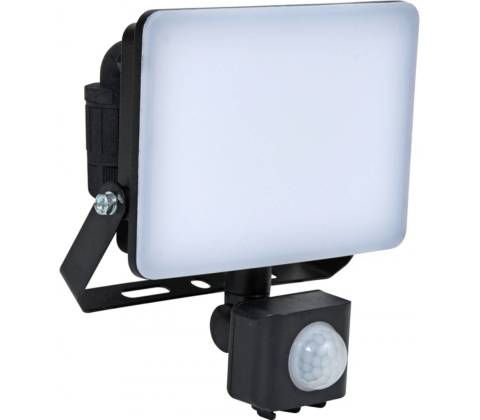 Ecolite RFL02-20W/PIR