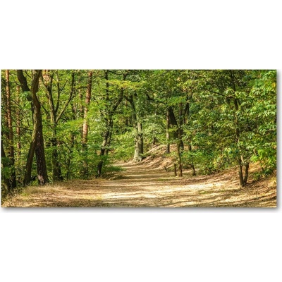Foto obraz sklenený horizontálny lesný chodník 100x50 cm