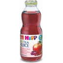 HiPP BIO Nápoj s ovocnú šťavou a šípkovým čajom 6 x 0,5l