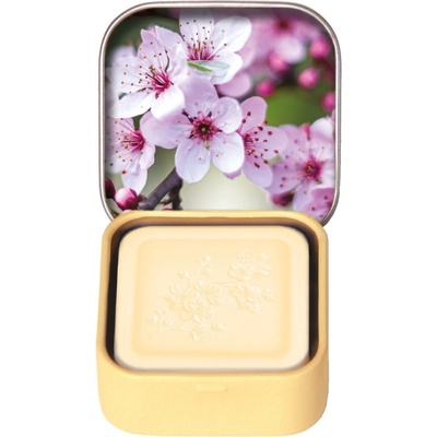 Esprit Provence Tuhé mydlo v plechovke Mandľový kvet 25 g