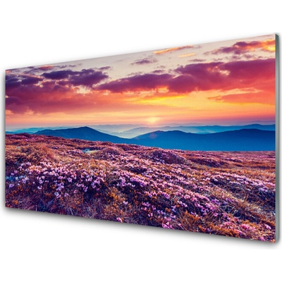 Obraz na skle Louka Hory Květiny Příroda 100x50 cm