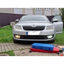 Fotka od uživatele 1