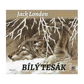 Bílý tesák