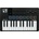 Arturia MiniLab 3 Black Миди клавиатура (MINILAB-3-BK)