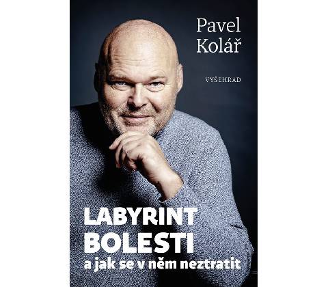 Labyrint bolesti