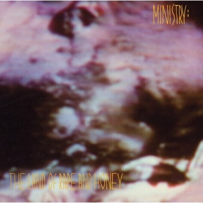 Ministry Land Of Rape And Honey 2 LP