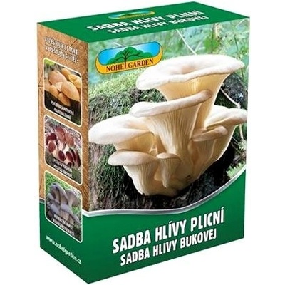 NOHEL GARDEN Hlíva plicní 250ml