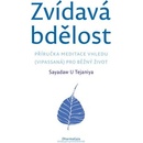 Zvídavá bdělost