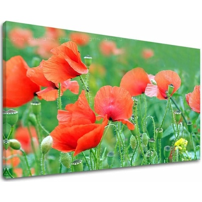Obraz na stenu KVETY - 20x30