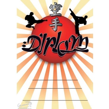 DK02a Diplom Karate