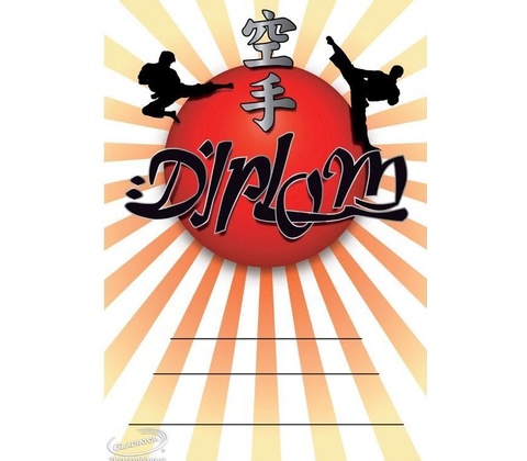 DK02a Diplom Karate