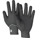 Smartwool Active fleece