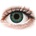 Alcon FreshLook ColorBlends Turquoise - без диоптър (2 лещи)