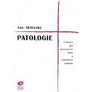 Patologie - Učebnice pro zdravotnické školy a bakalářské studium - Jan Stříteský