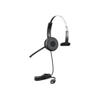 Image 1 of Lenovo 100 Mono