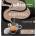 LAVAZZA Кафе дози, Lavazza classico, съвместими със Senseo, 36бр