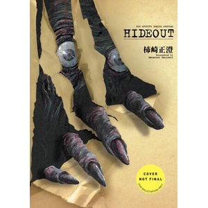 Hideout (ISBN: 9781419785702)
