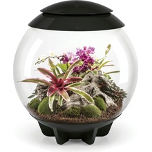 Biorb Air terárium černé 60 l