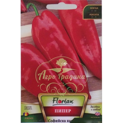 Флориан Пипер Софийска капия