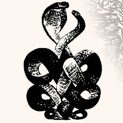Bardo Pond - Volumes 4 & 5 (Limited Edition) (2 ) LP