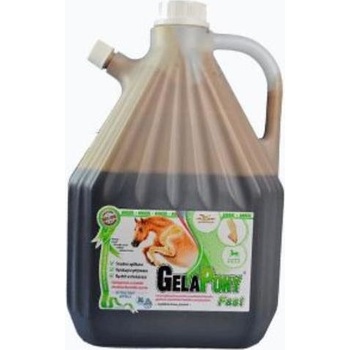 Orling Gelapony Fast Biosol 3 l