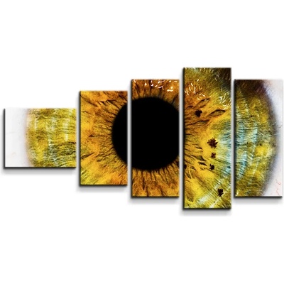 Sablio Obraz - 5-dílný Oko - 100x60 cm