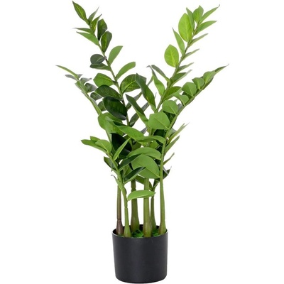 ZELEŇ ZAMIOCULCAS V ČREPNÍKU 75CM