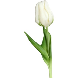 Ego Dekor Изкуствено цвете (височина 20 cm) Tulip - Ego Dekor (ZDP-35929-05)
