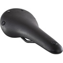 Brooks C15 Cambium černé