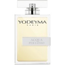Yodeyma Acqua per uomo parfém voda pánský 100 ml