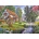 Bluebird Puzzle - Puzzle Steve Crisp: Peaceful Sunday - 500 piese
