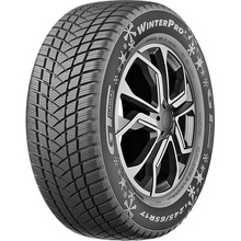 GT Radial WinterPro 2 evo 205/65 R15 94T